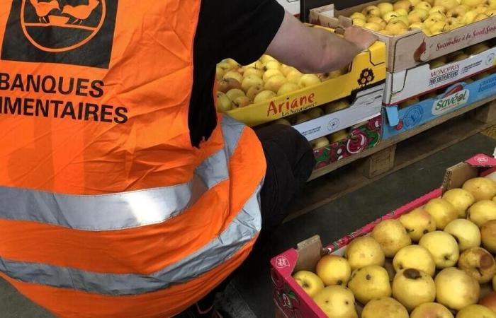 The Morbihan Food Bank shows off the daily lives of its volunteers this Tuesday