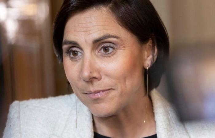 In Toulon, a foreigner under OQTF caught in the act of burglary in the car of RN MP Laure Lavalette