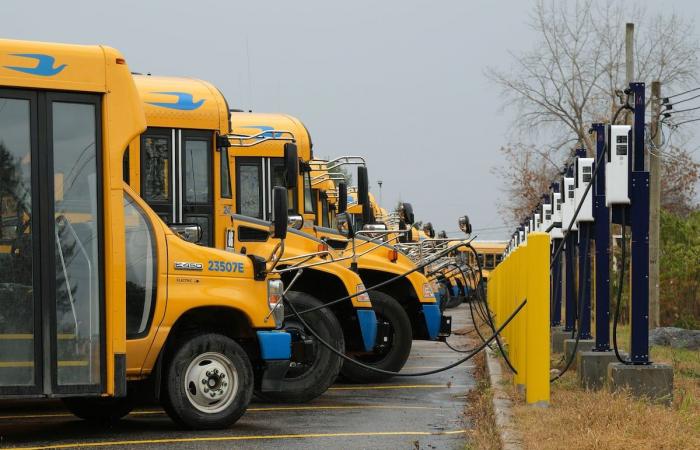 Two to three times more expensive for a school bus trip