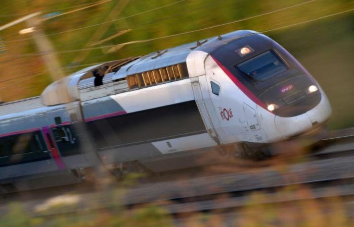 dozens of trees cut on the route of the future line near Toulouse, an activist threatens to commit suicide