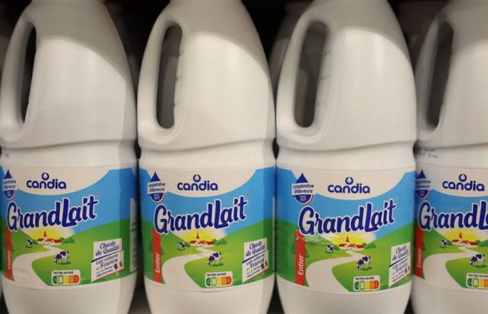 Bottles of milk sold at Leclerc recalled throughout France