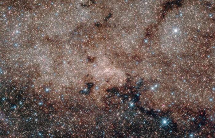 The center of the Milky Way bombards Earth with “some of the most extreme physical processes in our Universe”!