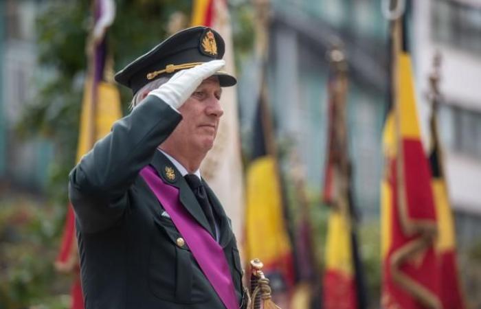 King Philippe commemorates the Armistice at the foot of the Congress column in Brussels (photos)