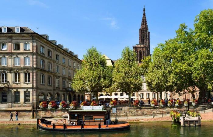 Esplanade, Robertsau, Contades… Real estate prices in Strasbourg by district