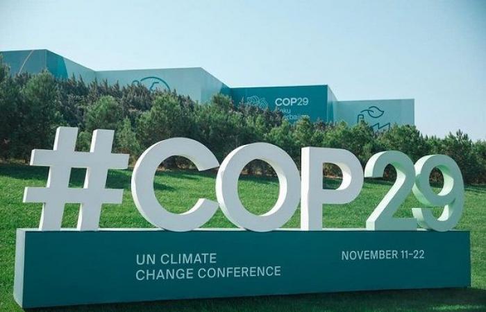 COP29 in Baku: Challenges and expectations