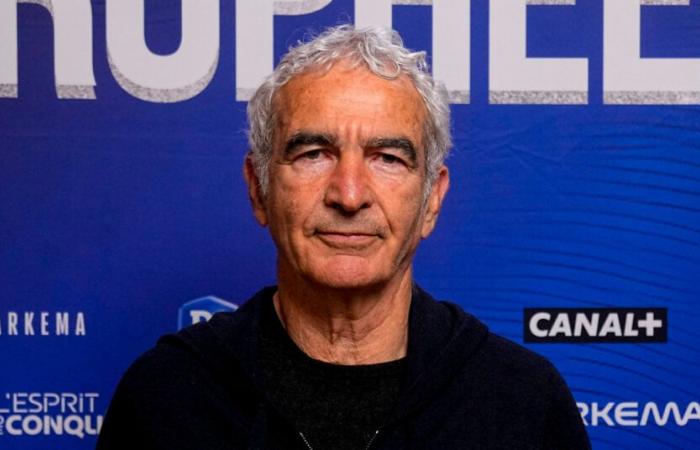 “I cursed him”, Raymond Domenech disgusted by an ex-Bleu