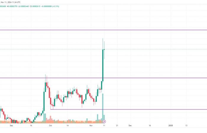 DOGE and SHIB Price Prediction for November 11