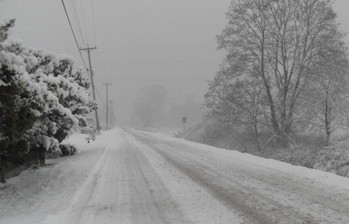 snow is arriving this Tuesday on the hills, in Lozère and in the Pyrenees!