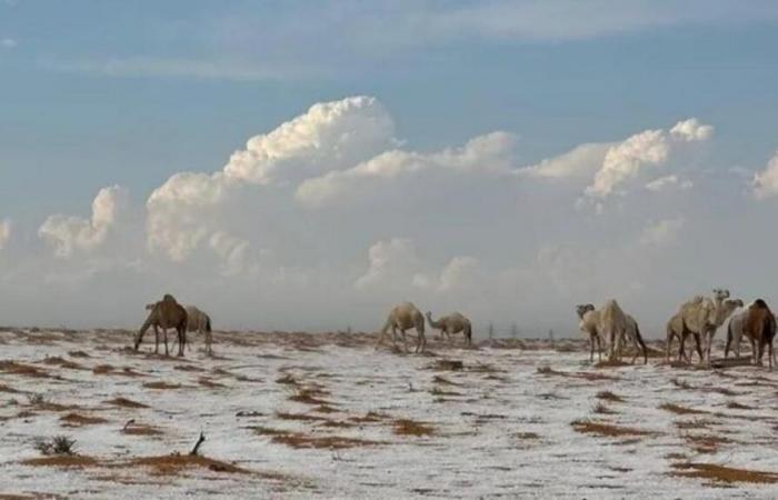 Exceptional snowfall in the desert in Saudi Arabia