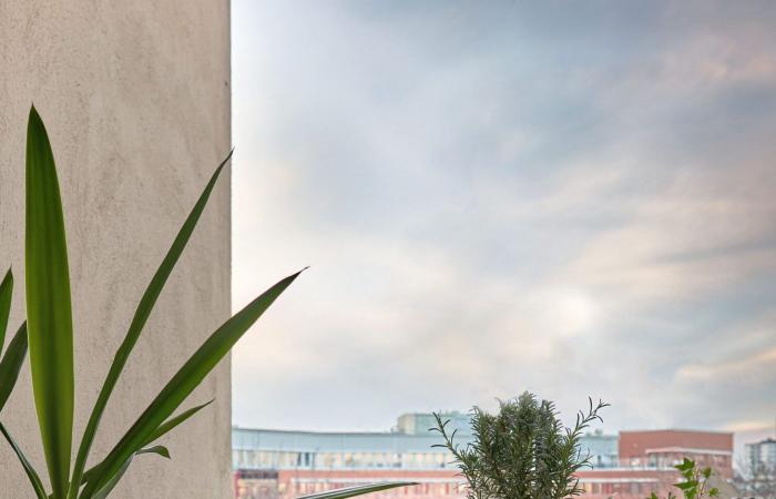 A vintage apartment of 117m2 with a view of the rooftops