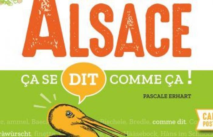 “In Alsace, it’s said like that”: a book to understand Alsatian expressions