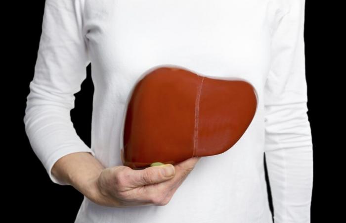 Fatty liver is also a disease. And we don’t feel it coming…