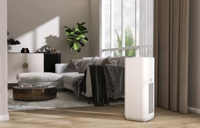 Action unveils a genius dehumidifier for only €4!