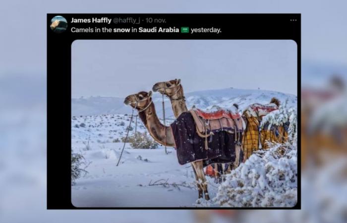 the most beautiful images of the country affected by snow