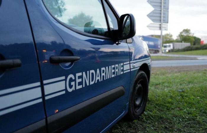 A call for witnesses launched by the Moselle gendarmerie, following the worrying disappearance of a 74-year-old woman