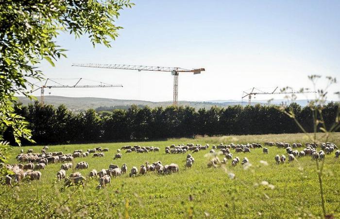 Larzac, sublime in the lens of Philémon d’Andurain