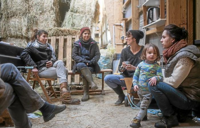 Larzac, sublime in the lens of Philémon d’Andurain