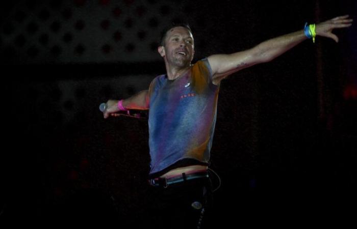 Coldplay frontman Chris Martin interrupts concert to rescue child crushed by crowd (video)