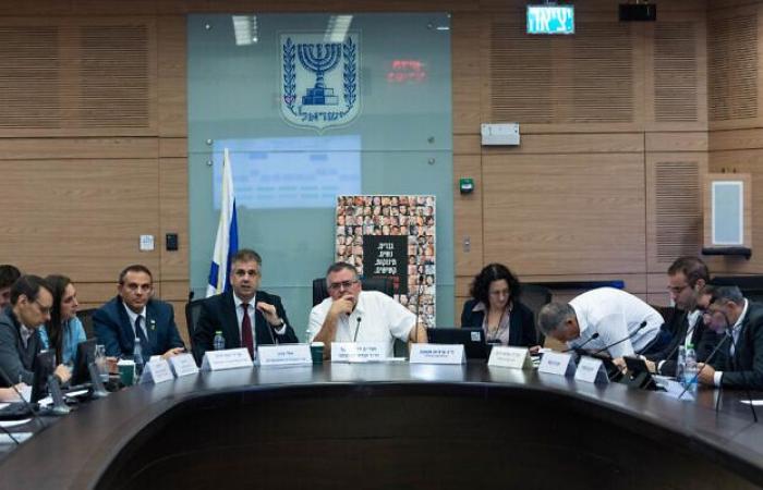 Likud lawmaker expels hostage’s aunt from Knesset meeting