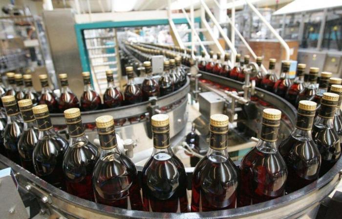 Cognac: China announces the imposition of temporary measures