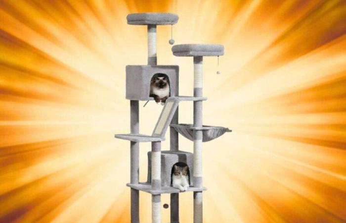 This cat tree is currently on sale at AliExpress for Single Day