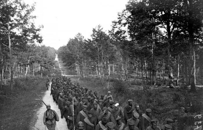 German prisoners in Saint-Dizier, in 1916