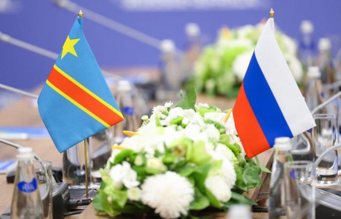 Africa-Russia Forum: increase in Russian university scholarships to Congolese students