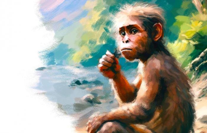 The debated legacy of Lucy, the most famous australopithecus