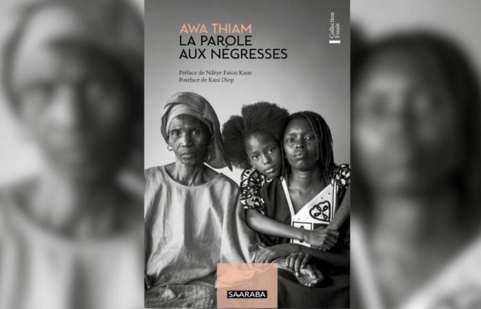 Major work of feminism, “La parole aux negresses” by Awa Thiam reissued in Senegal