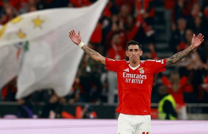 Di María double in Benfica’s win against Porto :: Olé