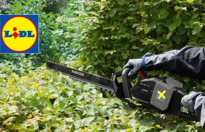 Lidl cuts the price of this PARKSIDE® hedge trimmer