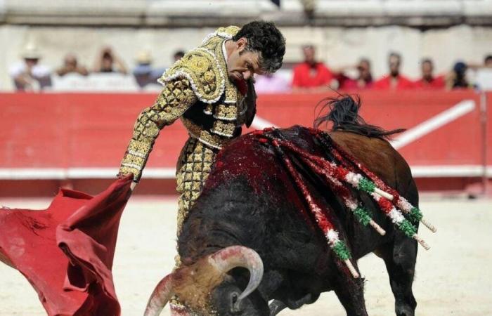 The question of the day. Should bullfighting be banned for under 16s?