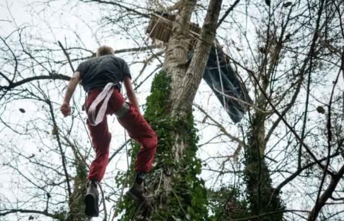 VIDEO. “I want to see if they are ready to kill people”, a “squirrel” threatens to hang itself on the LGV construction site