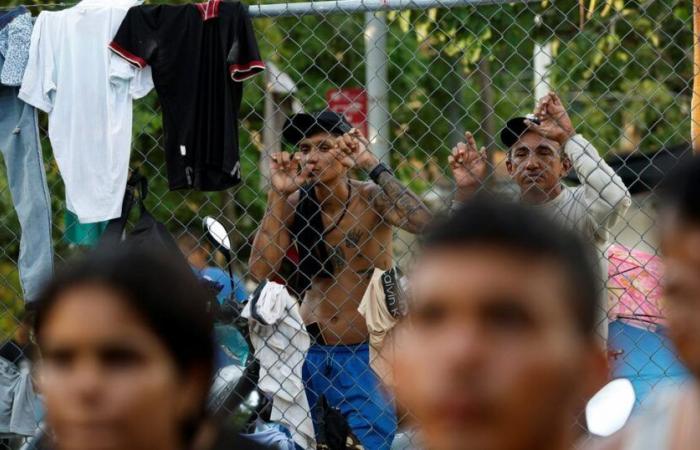 more than 250 migrants arrested before the American border