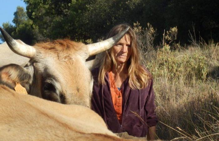 “Be present for him until his last breath…” a conference to better support the death of farm animals in Aveyron