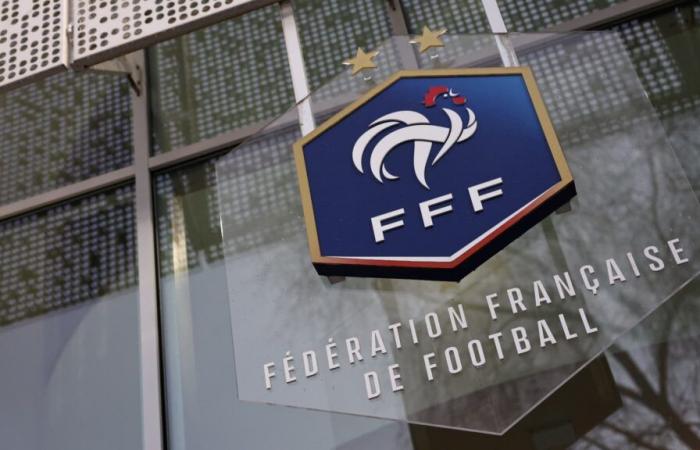 Diallo and Samsonoff, two candidates for a position at the FFF