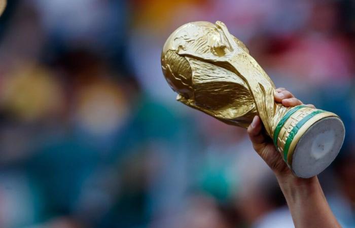 World Cup 2034: two NGOs ask to “interrupt” Saudi Arabia’s selection process