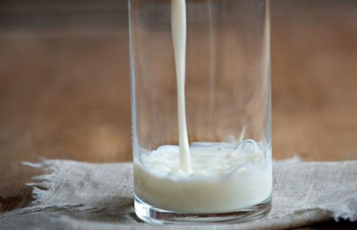 Milk bottles recalled throughout France for an “organoleptic” defect: News