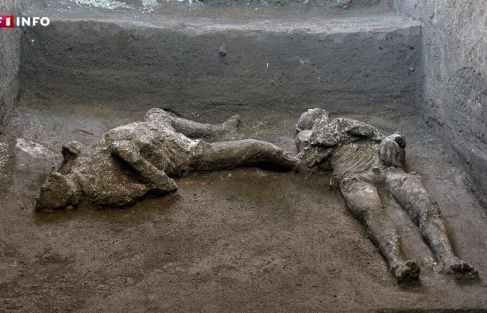 Pompeii: DNA analyzes reveal the true story of victims of the Vesuvius eruption