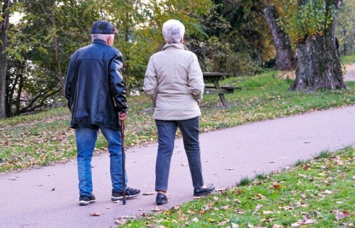 Pensions: four big changes planned for 2025