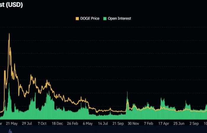 Dogecoin extends gains as traders assess Elon Musk’s role in upcoming Trump administration