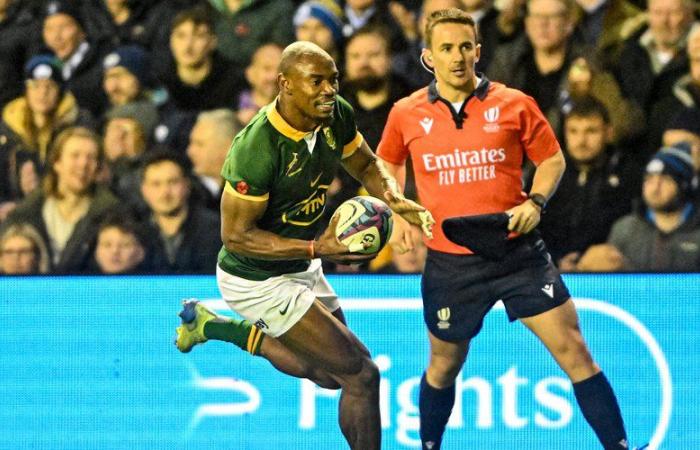 2024 autumn tour – World Rugby rankings: South Africa takes the lead, Ireland loses two places, France fourth