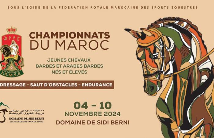 Moroccan dressage, show jumping and endurance championships: the latest verdicts