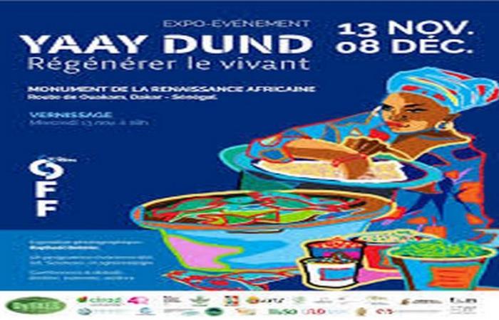 Senegal: Opening of the DyTAES exhibition-event “YAAY DUND, Regenerating the living” – VivAfrik