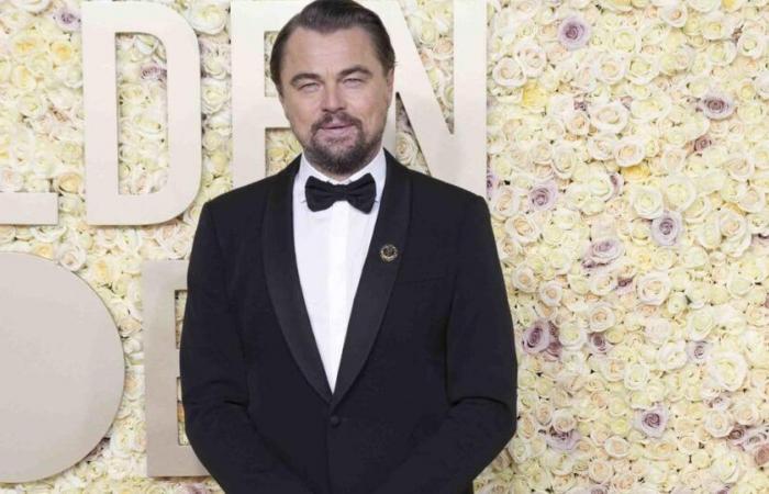 Brad Pitt, Robert de Niro… These stars came to celebrate Leonardo DiCaprio's 50th birthday in a villa in Los Angeles