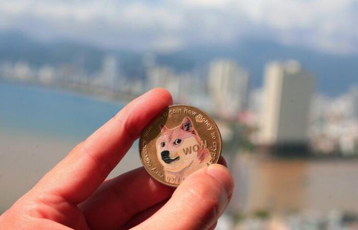 Dog-themed meme coins Dogecoin, Shiba Inu and Dogwifhat extend gains as Trump-led rally persists