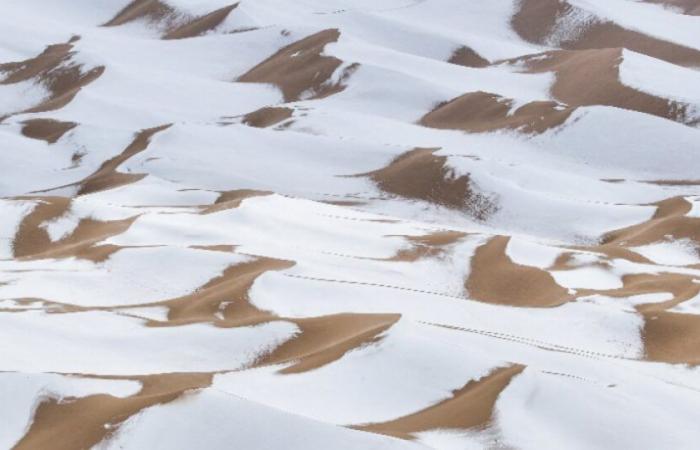 It's snowing in the desert in Saudi Arabia: News