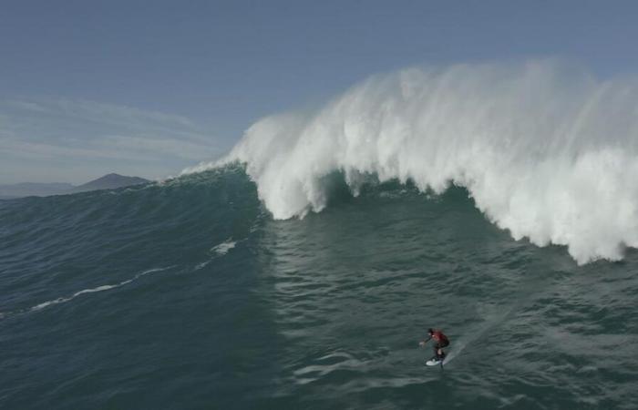 “Waiting for the wave”, the documentary that makes you want to catch your breath