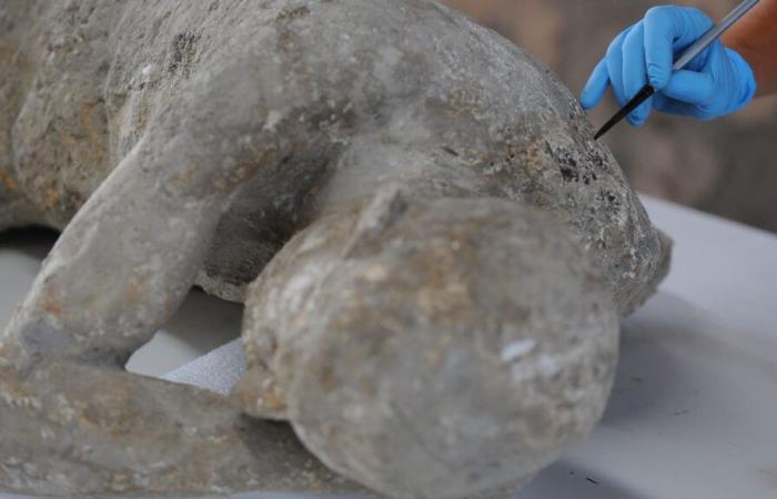 DNA from Pompeii victims shakes up story of Vesuvius eruption