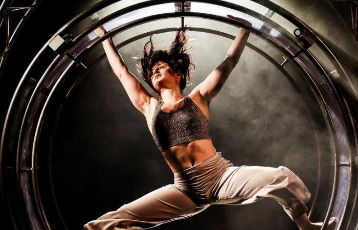 A magical stroll through the circus arts from November 15 to 17 in Foix